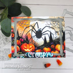 Whimsy Stamps Itsy Bitsy Spider Dies wsd038 one