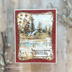 Whimsy Stamps Roaming Horses Dies wsd259a watering hole