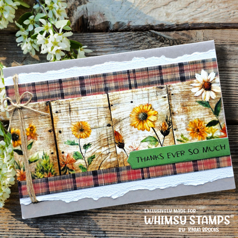Whimsy Stamps Rustic Mountain 6x6 inch Paper Pack wsdp56 thank you