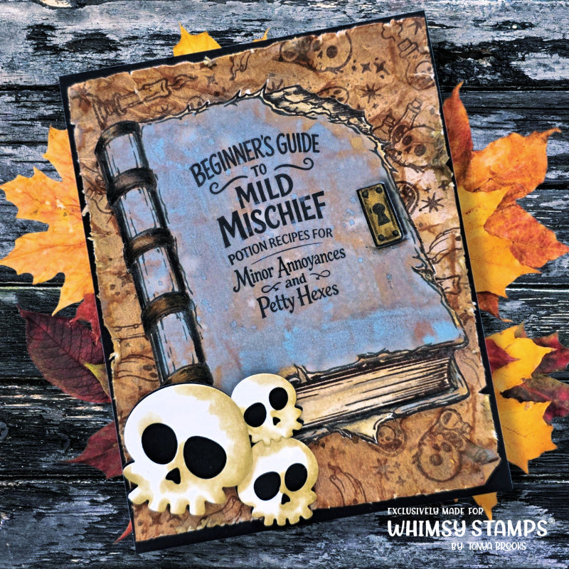 Whimsy Stamps Spell Book Potions Clear Stamps cwsd441a guide to mild mischief card