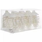 White Glitter Pinecones Ornament Set 5706460 in clear box