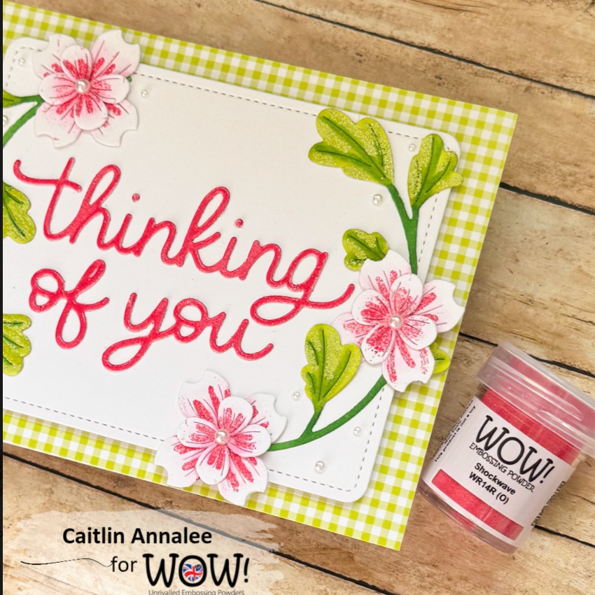 Wow Embossing Powder Shockwave wr14r white flowers thinking of you card