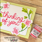 Wow Embossing Powder Shockwave wr14r white flowers thinking of you card