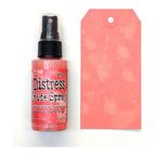 Tim Holtz Distress Oxide Spray ABANDONED CORAL Ranger tso67528 Color Swatch