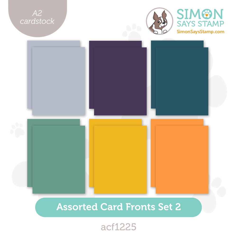 Simon Says Stamp Assorted Card Fronts Set 2 100lb acf1225 DieCember