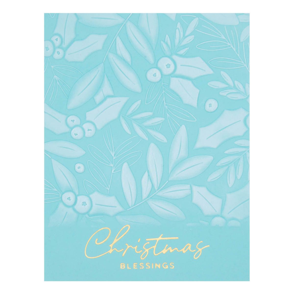 E3D-060 Spellbinders Holly and Foliage 3D Embossing Folder blessings