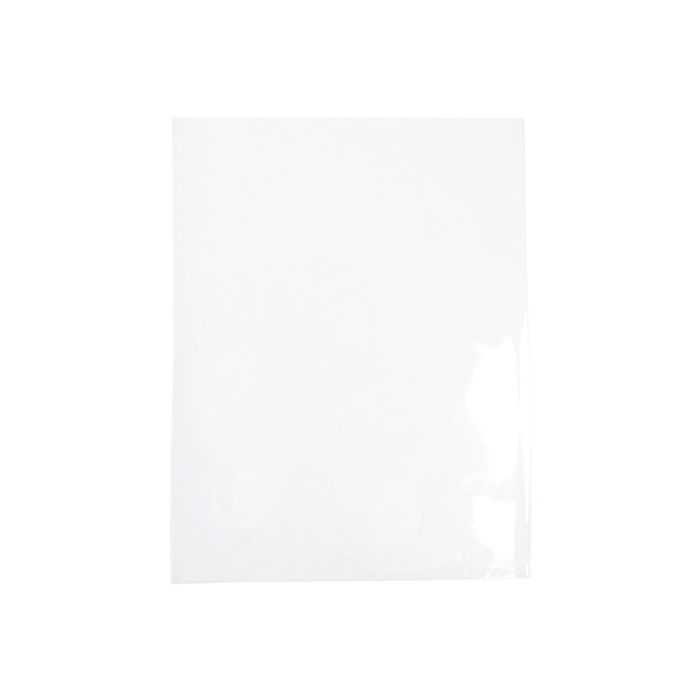 Clear Bags 5.6875 x 8.625 No Flap Set of 20 b59snf20