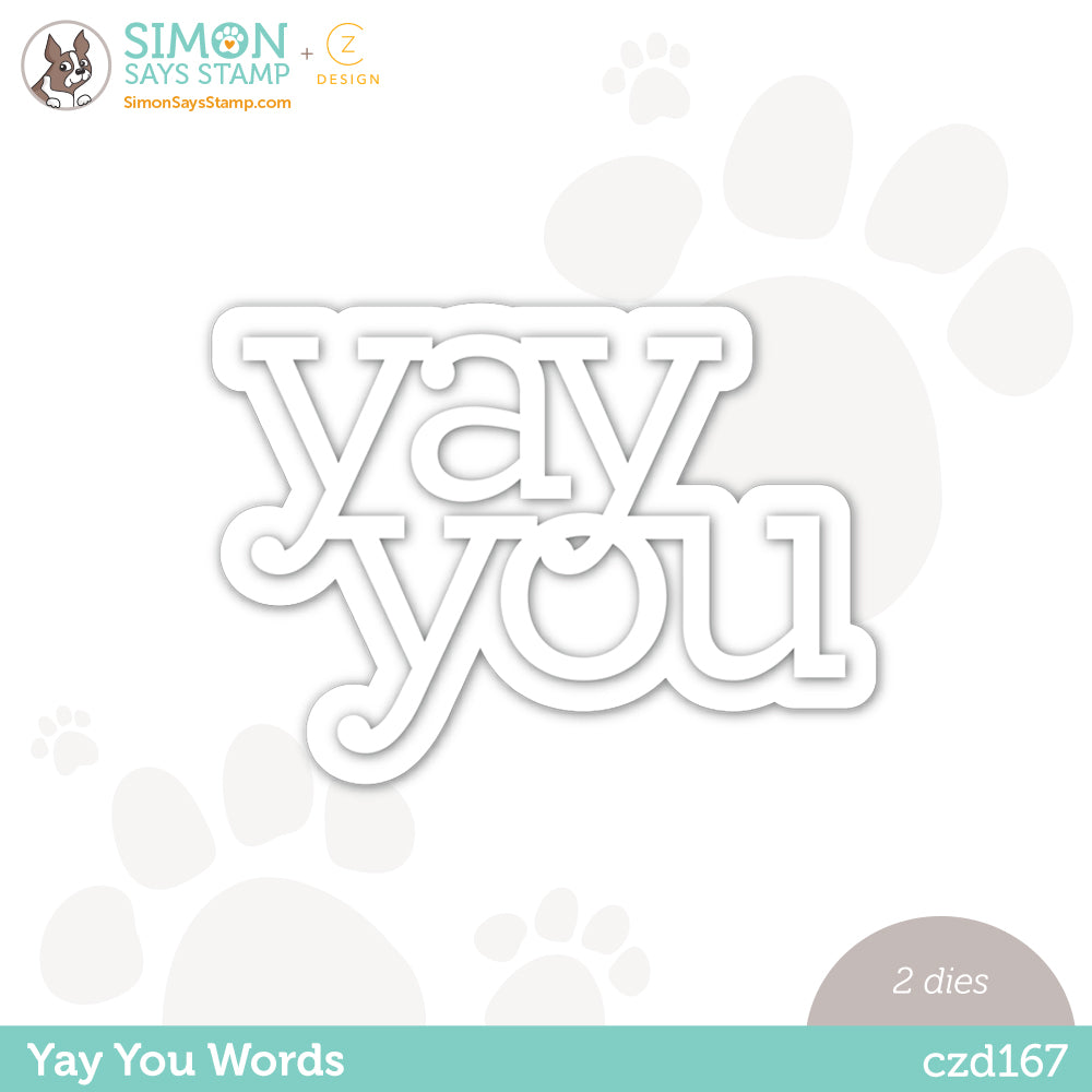 CZ Design Wafer Dies YAY YOU WORDS czd167