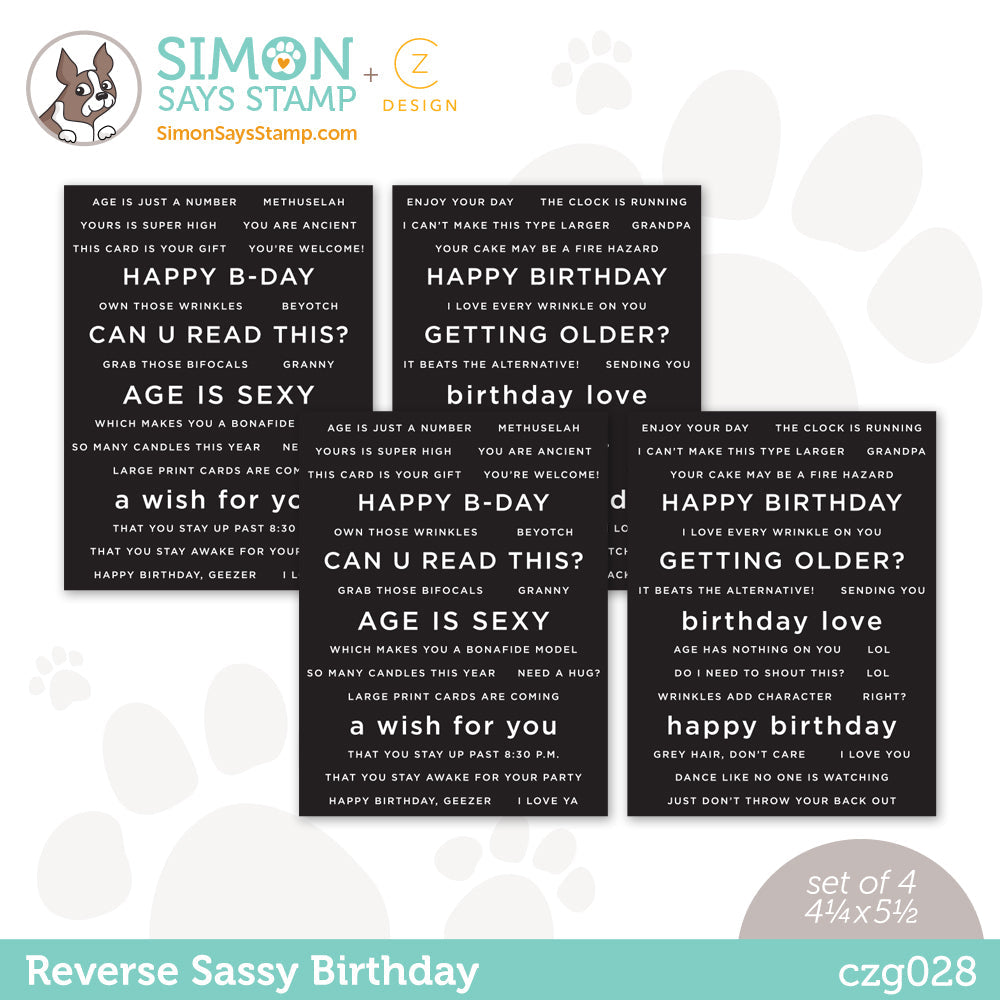CZ Design Sentiment Strips REVERSE SASSY BIRTHDAY czg028