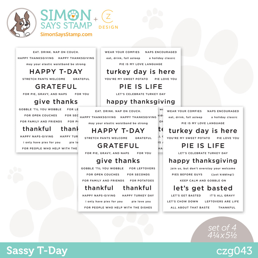 CZ Design Sentiment Strips SASSY T DAY czg043