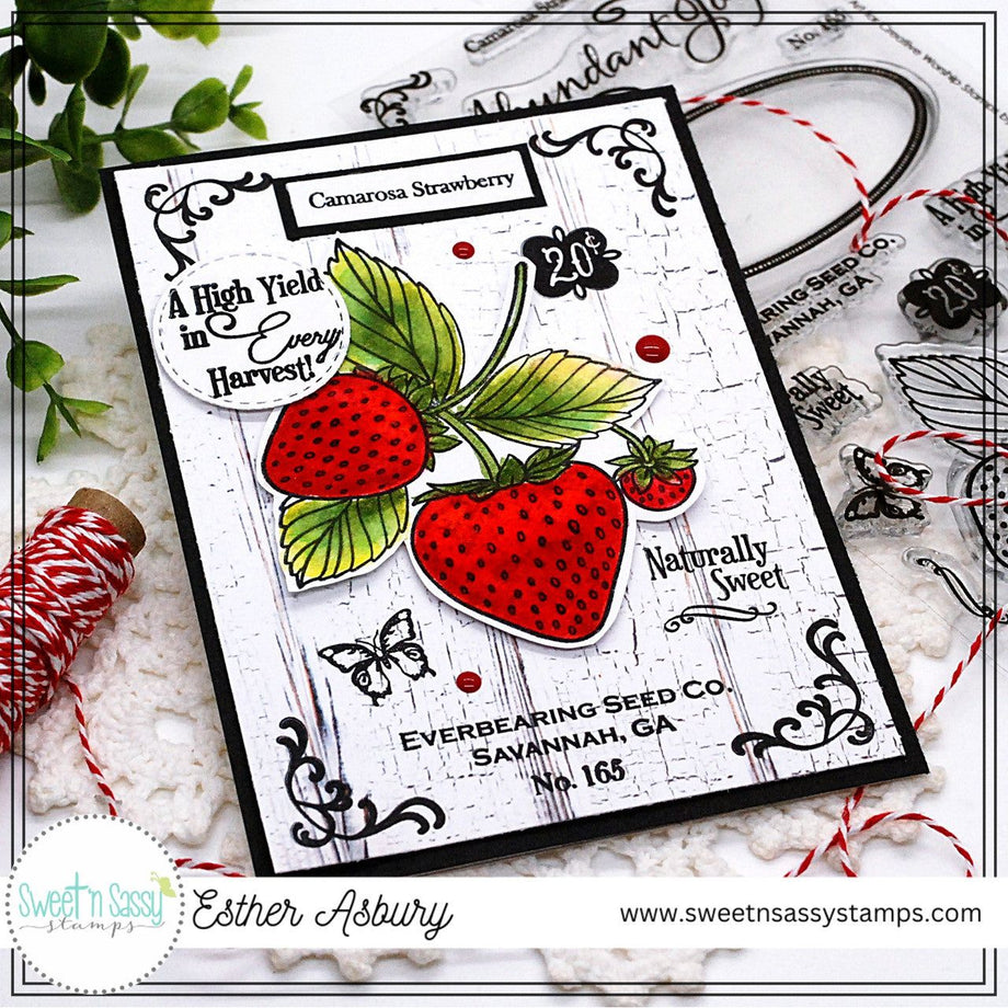 Creative Worship Vintage Strawberry Seed Packet Clear Stamps cws-24-01 –  Simon Says Stamp