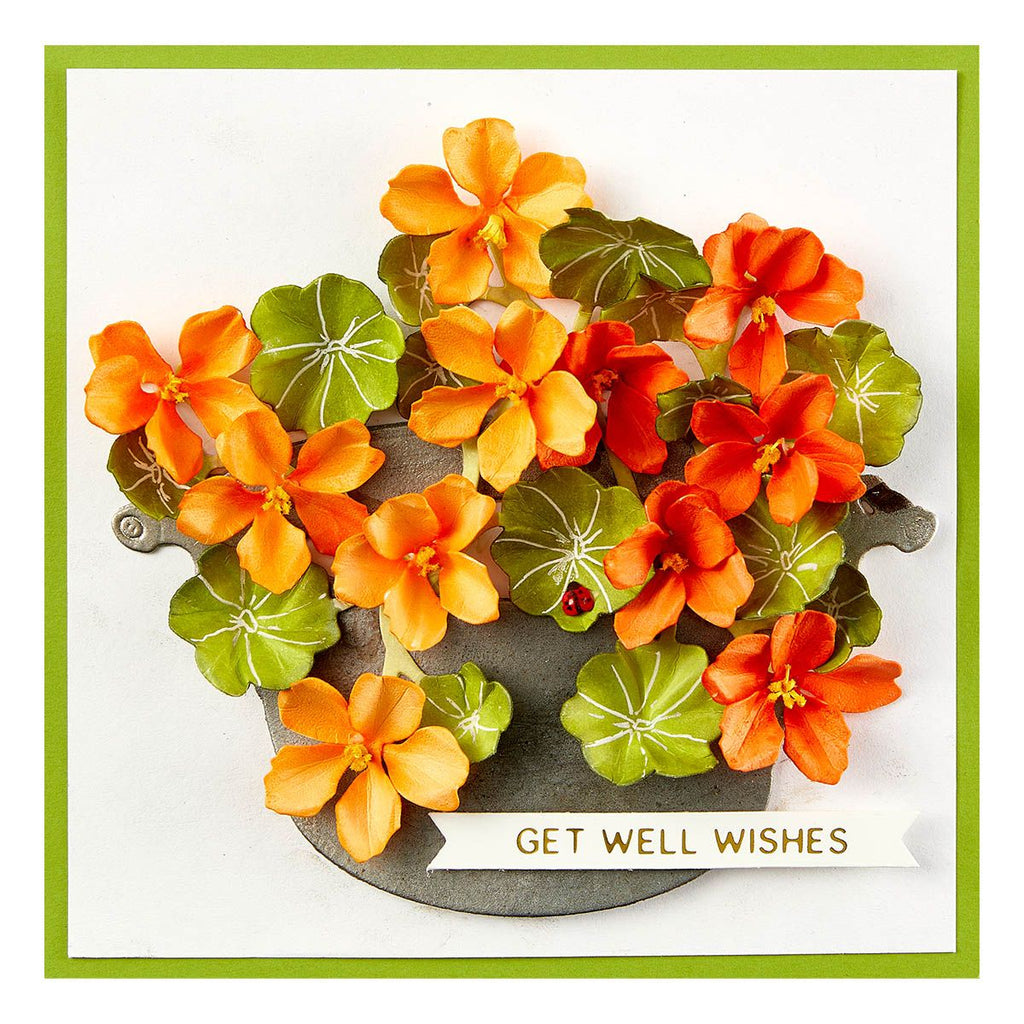 s5-615 Spellbinders Nasturtium and Galvanized Wash Bucket Etched Dies get well