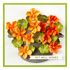 s5-615 Spellbinders Nasturtium and Galvanized Wash Bucket Etched Dies get well
