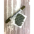 *Ranger Tim Holtz Distress Crayon Forest Moss tdb52203