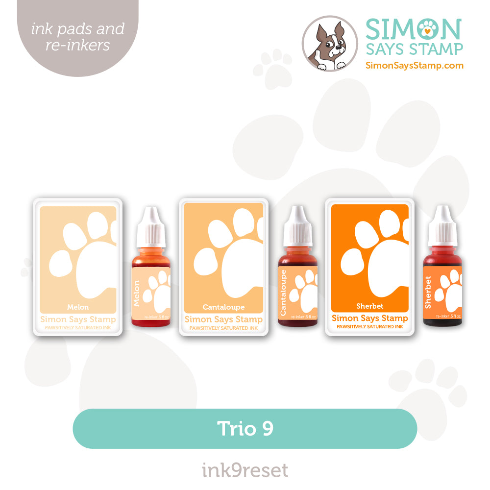 Simon Says Stamp Pawsitively Saturated Ink Trio 9 and Re-Inkers ink9reset Friend Like You