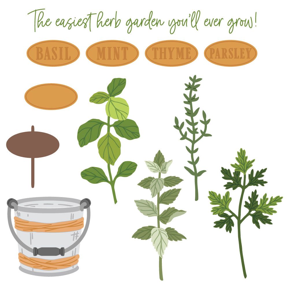 Honey Bee Lovey Layers Herb Garden Dies hbds-llhgrd Detailed Product View