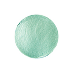 Tommy Art Mint Metallic Paint mt0110-140 swatch