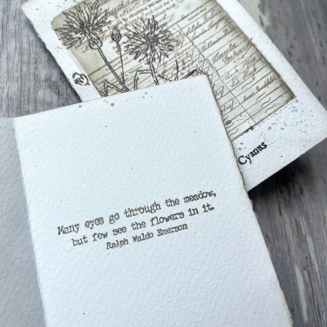 Paper Artsy Alison Bomber Cornflower Edition Cling Stamps eab34 floral
