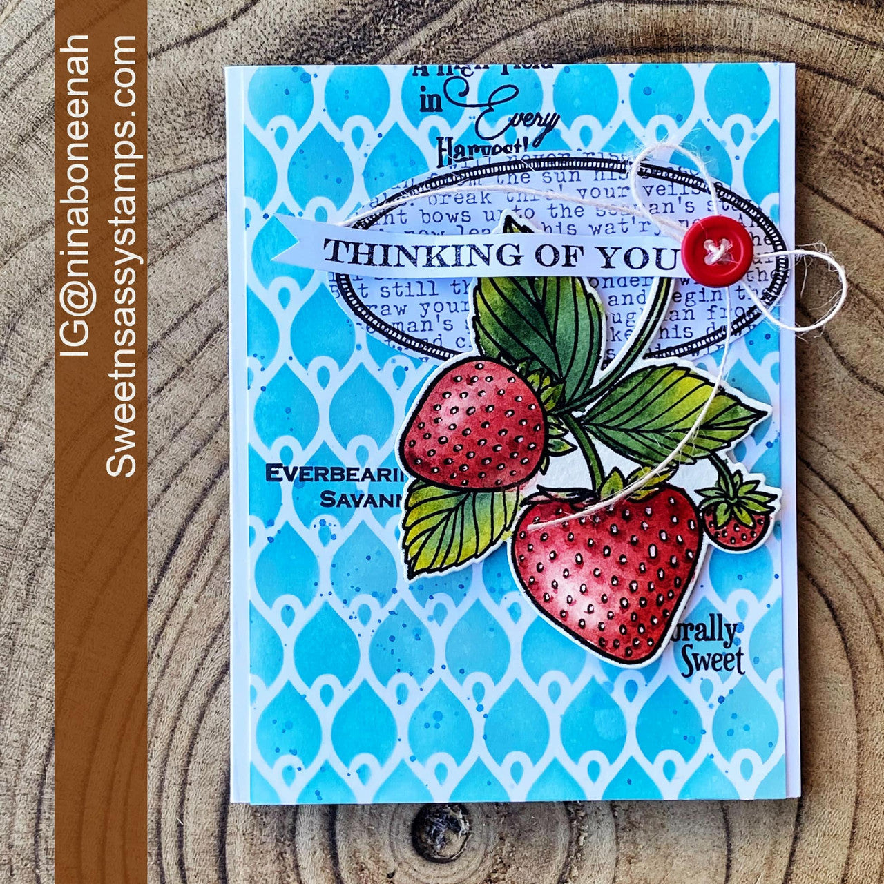strawberry seed packet Creative Worship Vintage Strawberry Seed Packet Dies cwsd-266*