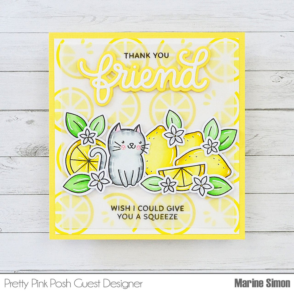 Pretty Pink Posh Citrus Clear Stamps Thank You