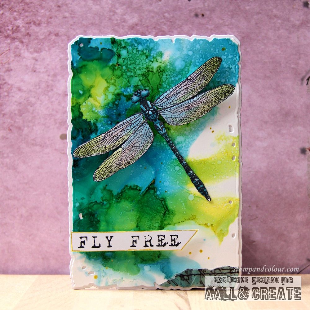 AALL & Create Frayed Frames Dies 26 dragonfly