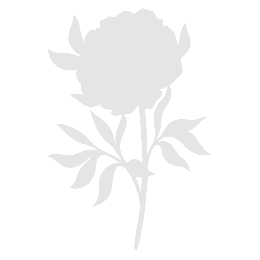 Crafter's Companion Perfect Peony Clear Stamps And Mask cc-ca-st-perpe Detailed Die View