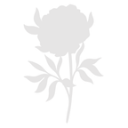 Crafter's Companion Perfect Peony Clear Stamps And Mask cc-ca-st-perpe Detailed Die View