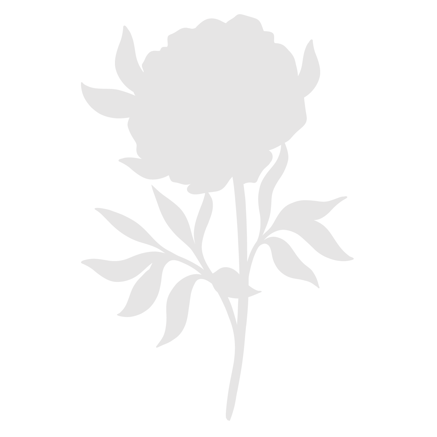 Crafter's Companion Perfect Peony Clear Stamps And Mask cc-ca-st-perpe Detailed Die View