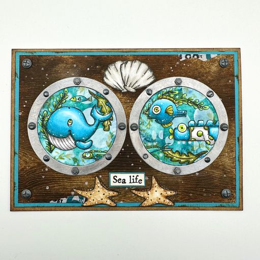 AALL & Create Plenty of Fish A7 Clear Stamps aall858 porthole