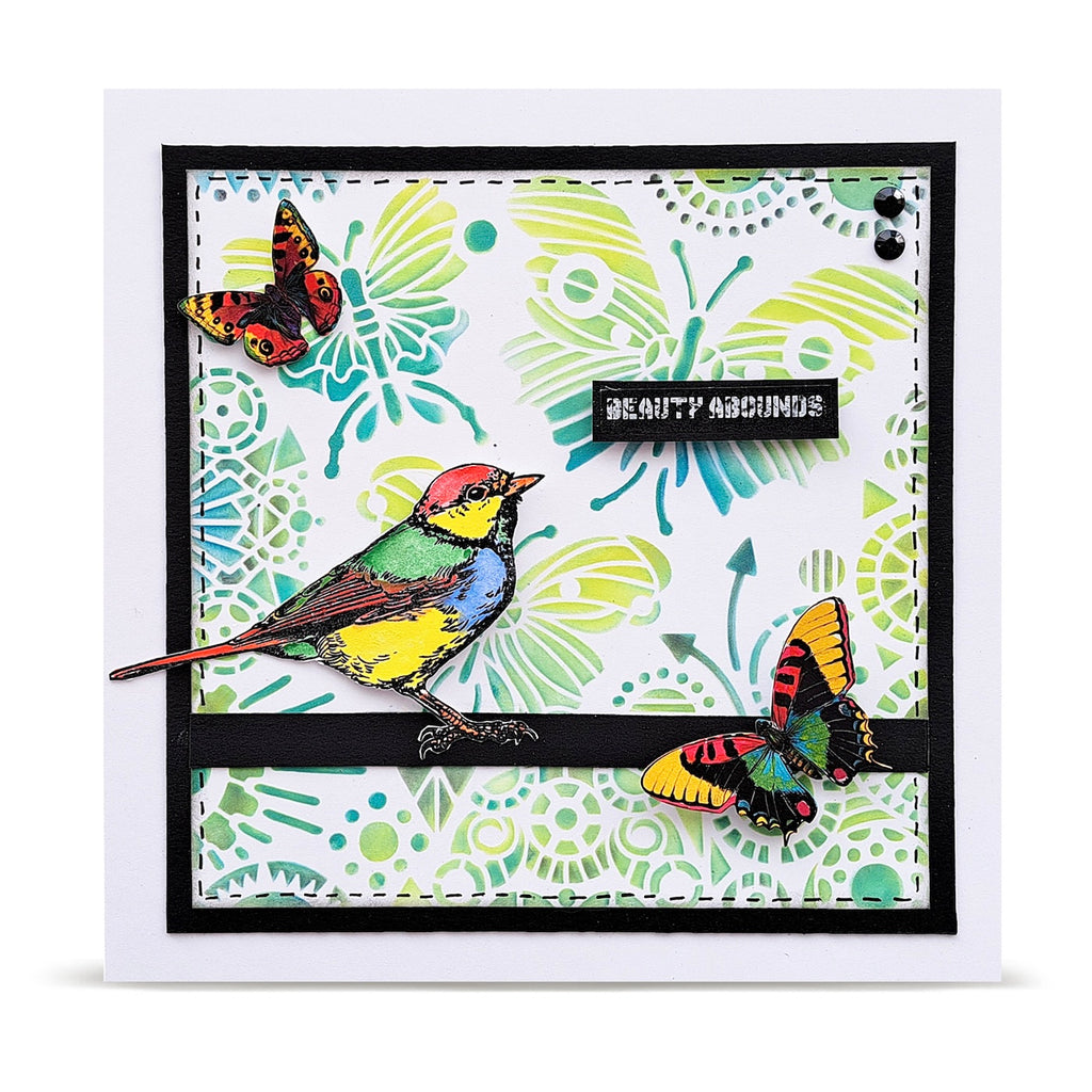AALL & Create Prendre Son Envol 6x6 Stencil pc-274 colorful bird colorful butterflies beauty abounds card