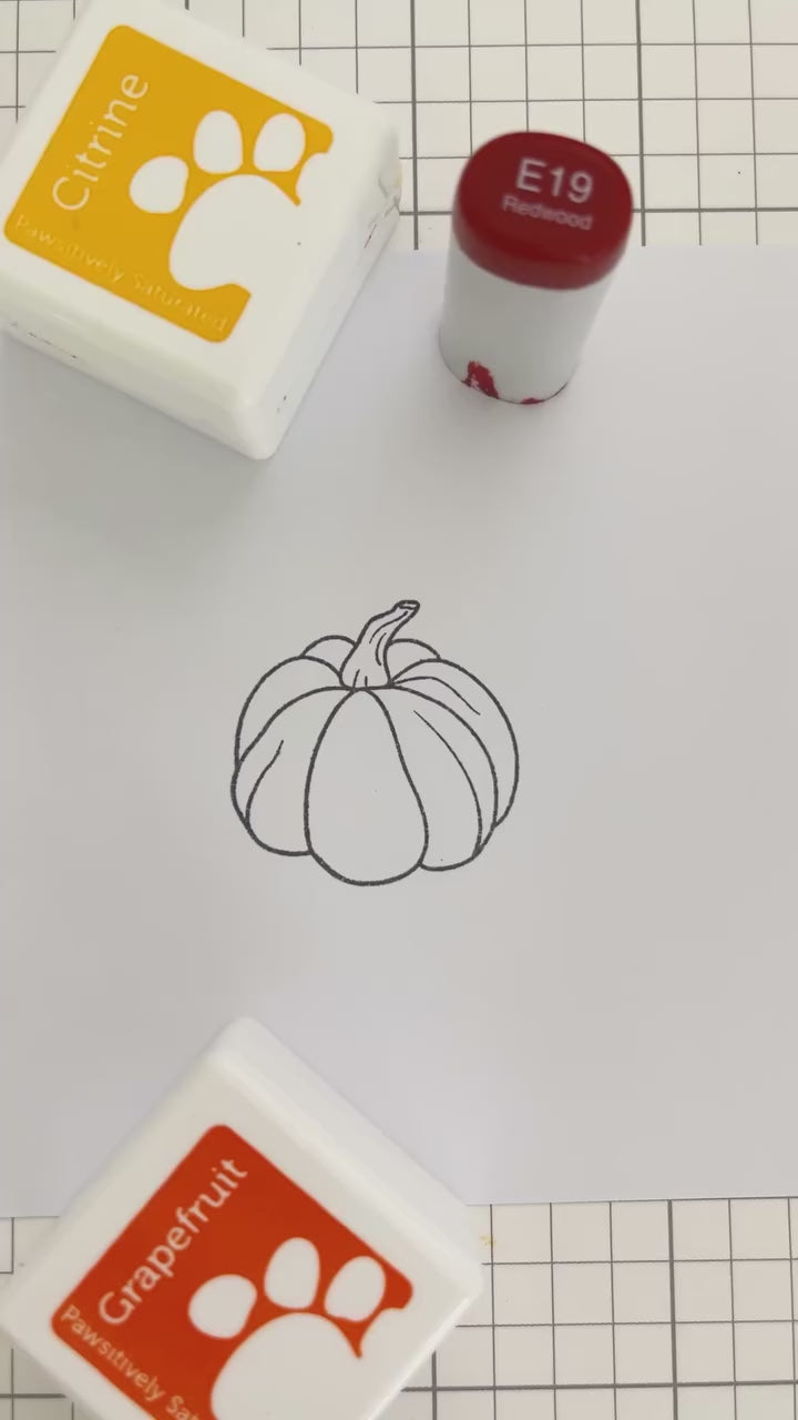 Rainbow Splash Clear Stamps So Very Thankful rs124c Stamptember Pumpkin Coloring Alberto Gava