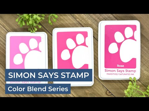 Simon Says Stamp Pawsitively Saturated Ink Trio 12
