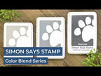 Simon Says Stamp Pawsitively Saturated Ink And Re-Inker Set Gradient 4