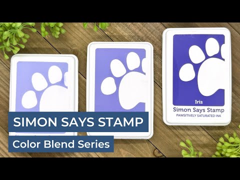 Simon Says Stamp Pawsitively Saturated Ink Cubes Purple Fields ssc607