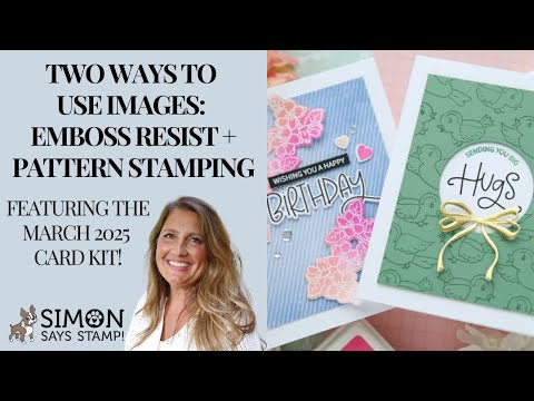 Simon Says Stamp Card Kit of the Month March 2025 Tweet Friend ck0325 *