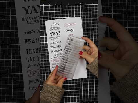 Bibi Cameron Good Stuff Inside Clear Stamps cu-bb61618 Unboxing Video