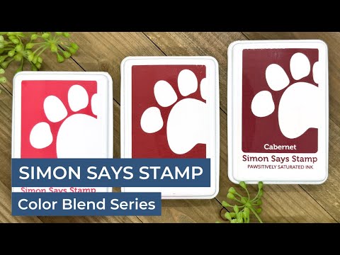Simon Says Stamp Pawsitively Saturated Ink and Re-Inker Set Gradient 10 ink010full