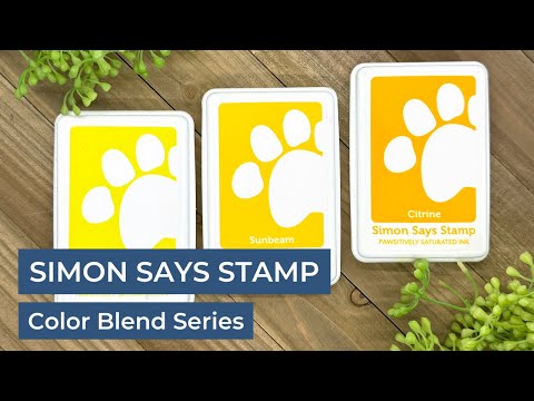 Simon Says Stamp Pawsitively Saturated Ink Trio 3 and Re-Inkers ink3reset Rain or Shine