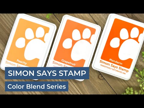 Simon Says Stamp Pawsitively Saturated Ink Trio 4 and Re-Inkers ink4reset Rain or Shine