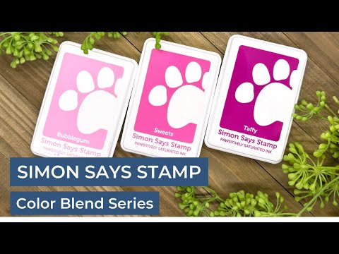 Simon Says Stamp Pawsitively Saturated Ink Trio 6