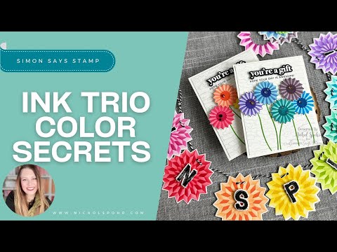 Simon Says Stamp Pawsitively Saturated Ink Trio 15 and Re-Inkers And Everything Nice