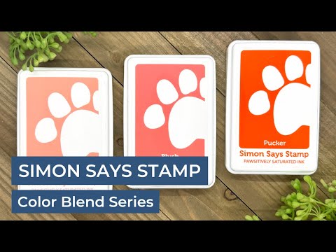 Simon Says Stamp Pawsitively Saturated Ink Trio 5