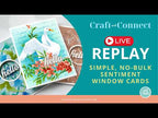 Pinkfresh Studio Heat-Resistant Acetate Sheets pf189es Sentiment Window Cards Video