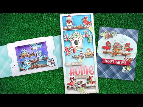 Lawn Fawn Winter Birds Stamps Dies and Coloring Stencils video intro