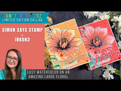 Tim Holtz Distress Mini Oxide Ink Pad Kits 7-12 Bundle Happy Birthday Cards Video