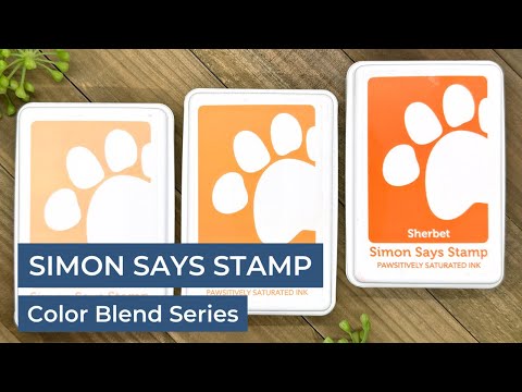 Simon Says Stamp Pawsitively Saturated Ink And Re-Inker Set Gradient 2