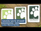 Simon Says Stamp Pawsitively Saturated Re-Inker Set Gradient 10 ssr110 Cheering For You