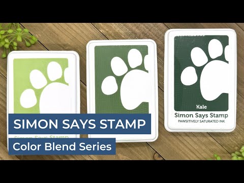 Simon Says Stamp Pawsitively Saturated Re-Inker Set Gradient 10 ssr110 Cheering For You