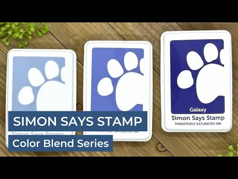 Simon Says Stamp Pawsitively Saturated Ink And Re-Inker Set Gradient 4