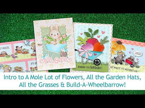 Intro to A Mole Lot of Flowers, All the Grasses, All the Garden Hats & Build-A-Wheelbarrow